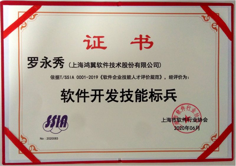 上海软件开发：引领创新科技的隐形引擎